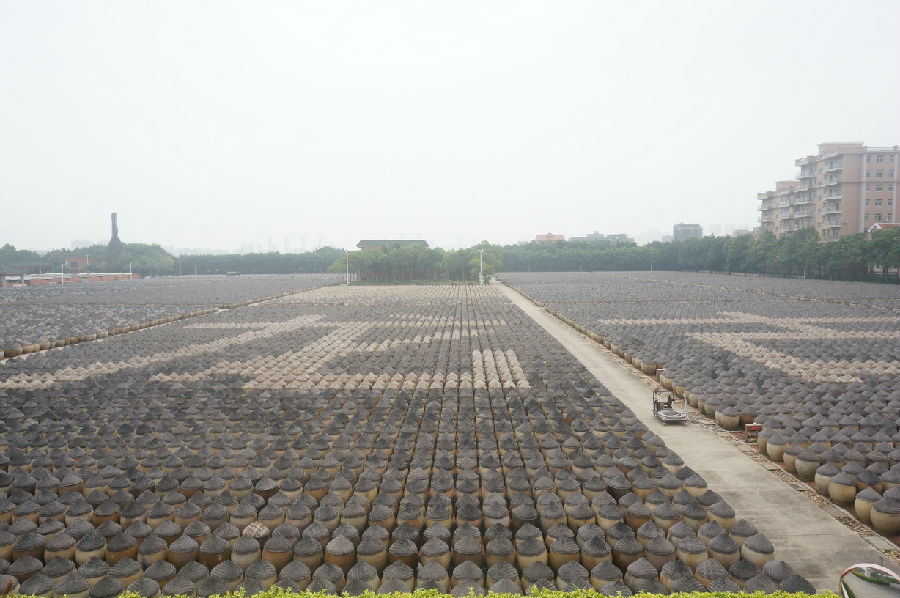 DSC04802_调整大小.JPG